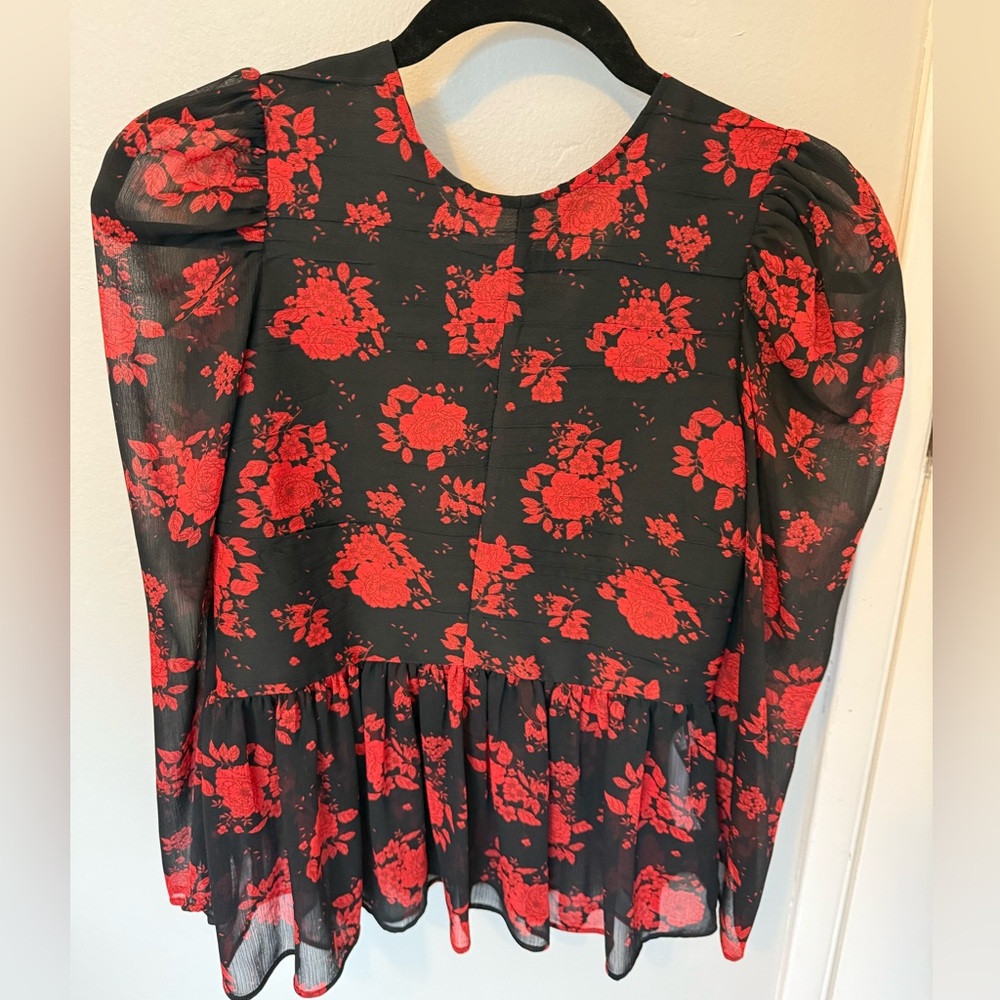 Zara rose print ruffle top size S